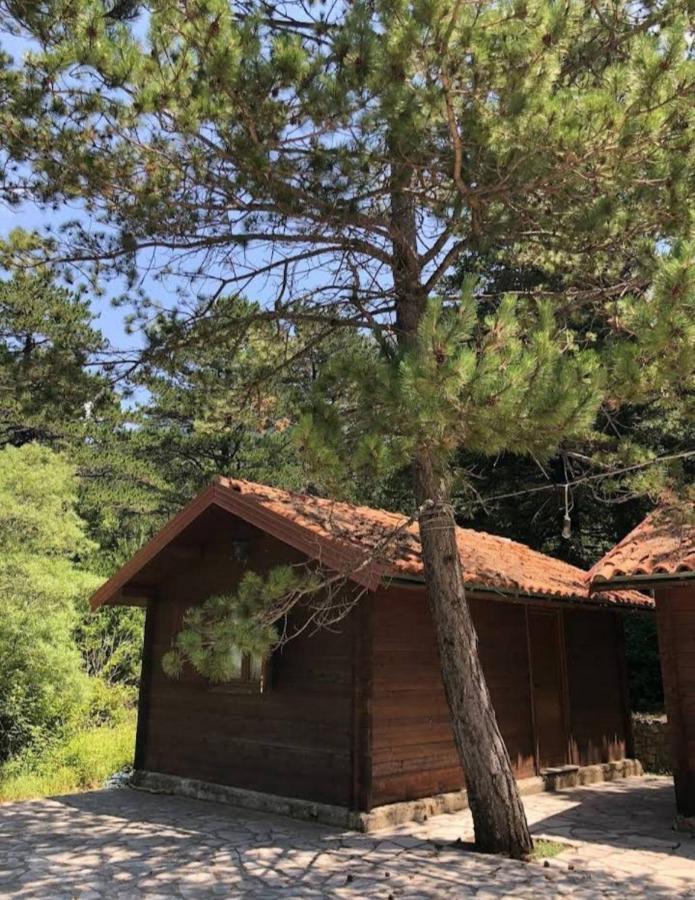 Vila The Old Man'S Chalet Dukat Exteriér fotografie